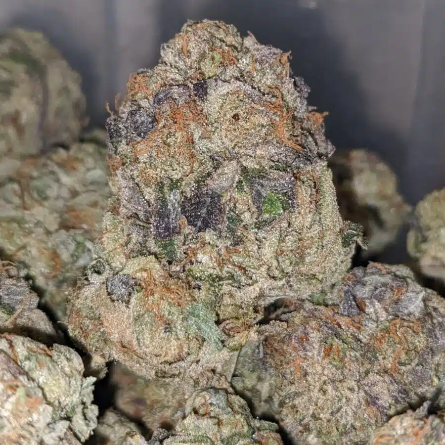 og wreck 2 I OG Wreck #2