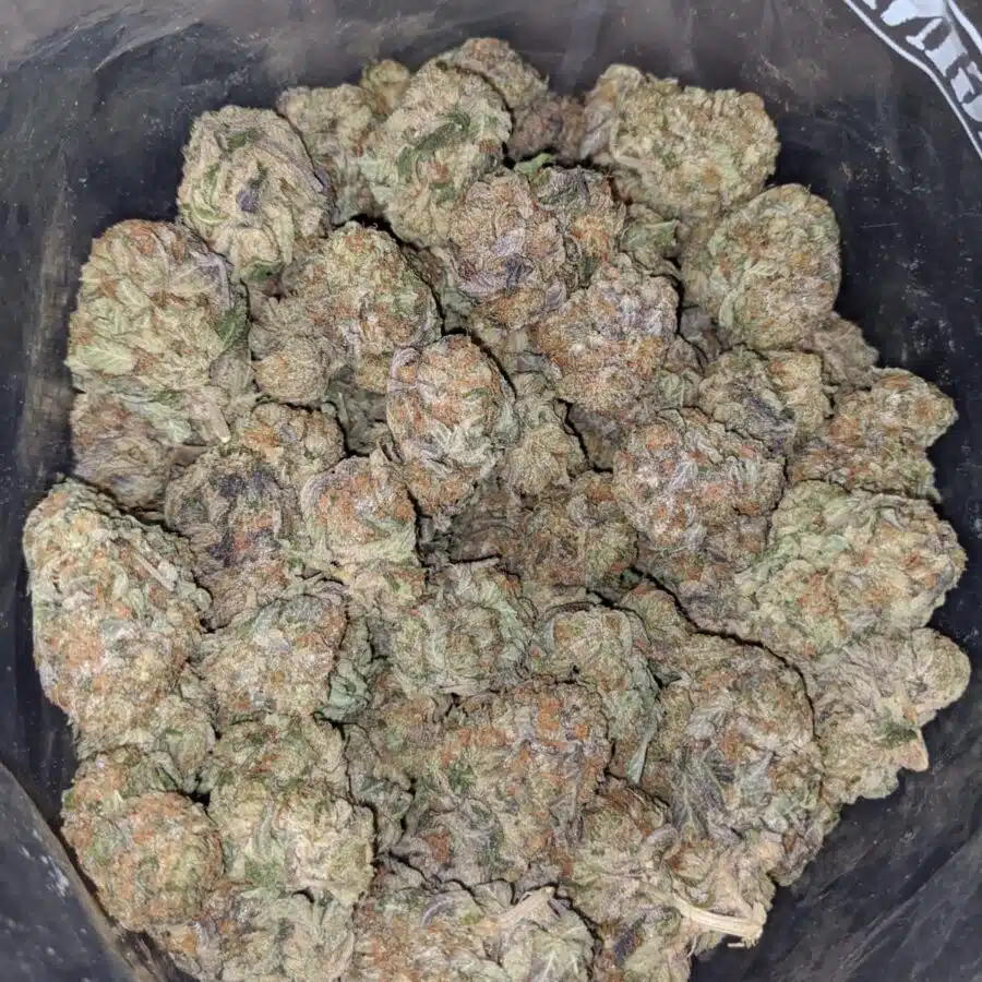 og wreck 4 I OG Wreck #2