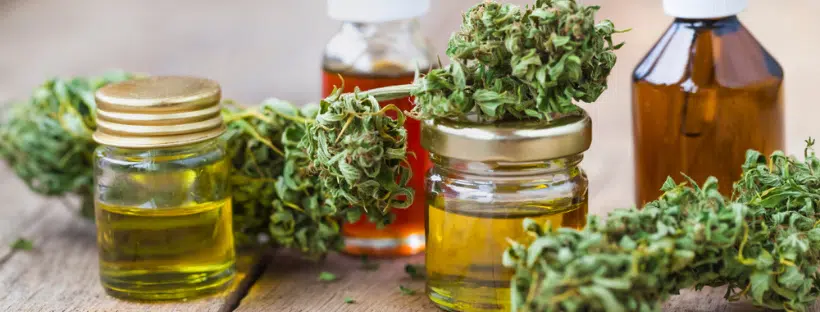Cannabis Concentrates Medical Benefits
