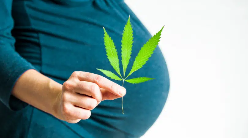 Marijuana While Pregnant