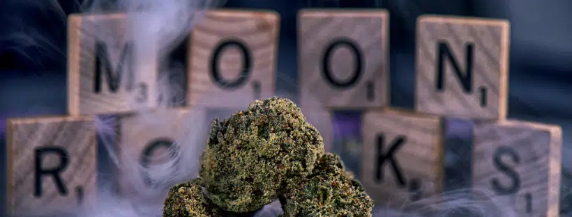 Moon Rocks concentrate