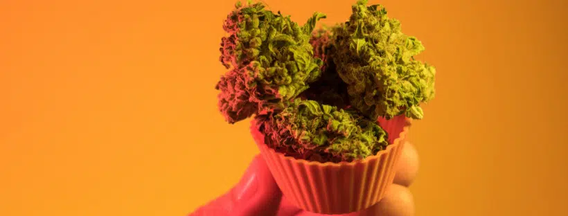 OG Kush Effects