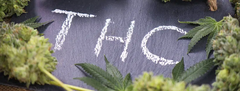 THC in Cannabis Concentrates