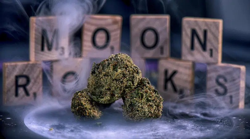What are Moon Rocks