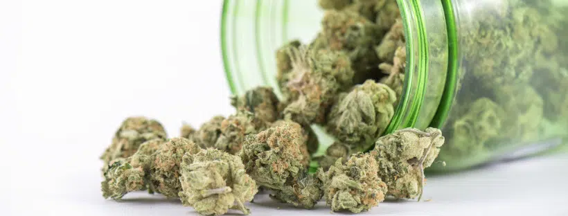 Medical Benefits White Widow