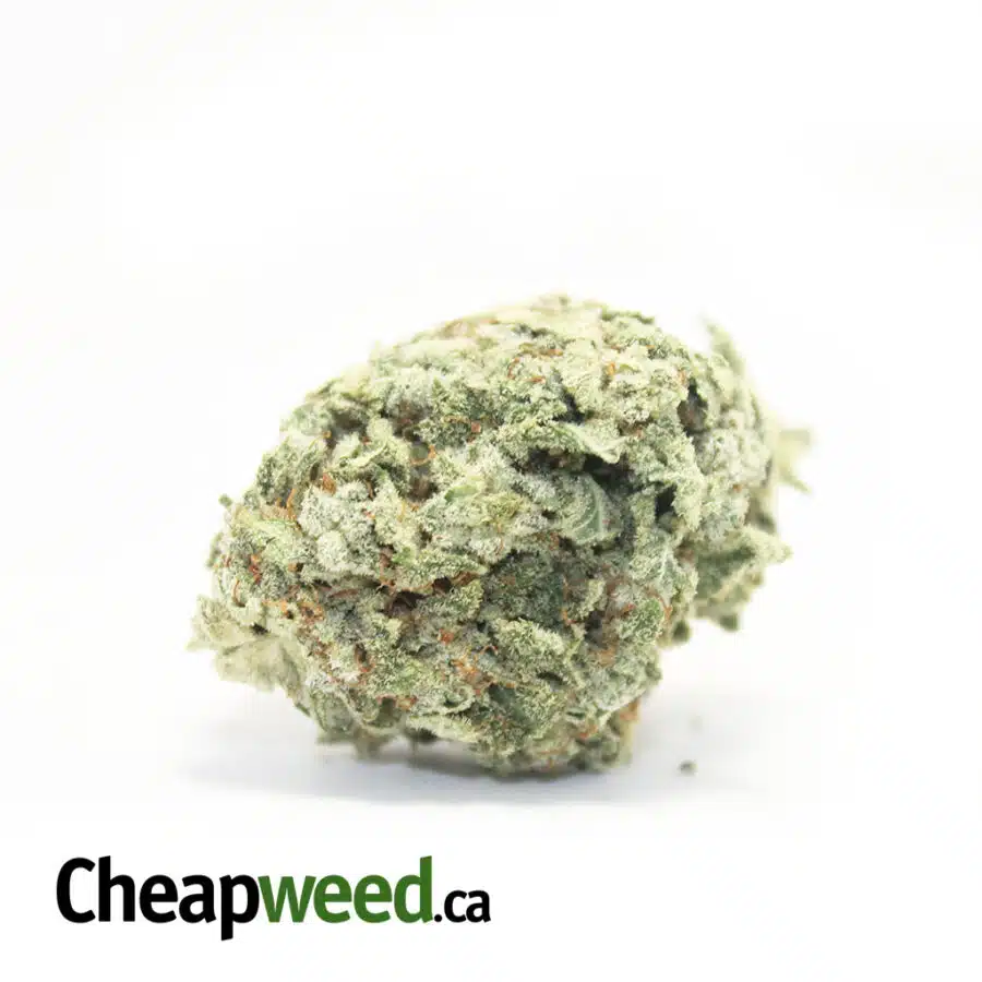 Cannaloupe Haze