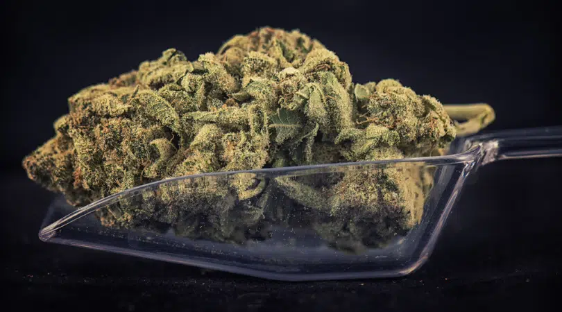 2018’s Top Sold Marijuana Strai
