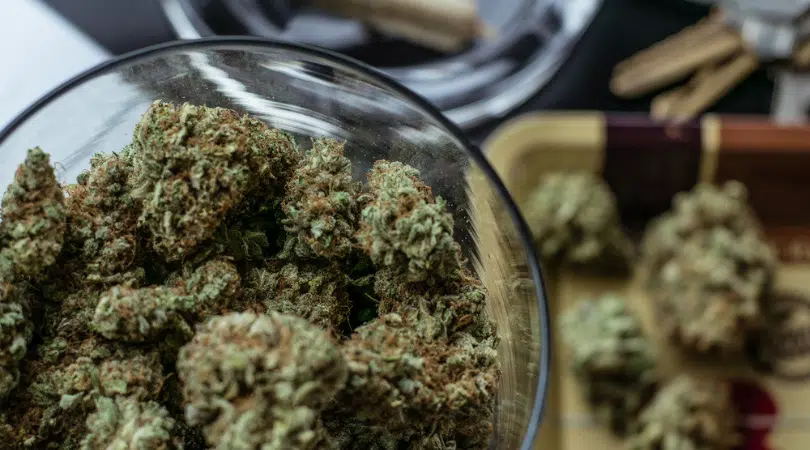 5 Best Hybrid Strains