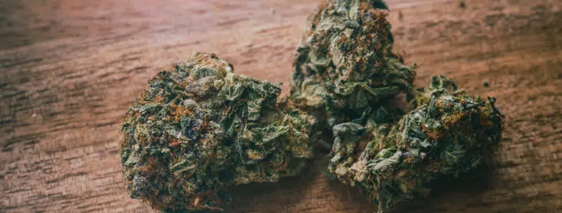 Darth Vader OG Weed