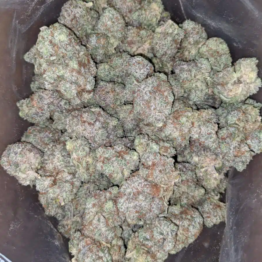 Green crack 1 I Green Crack #2