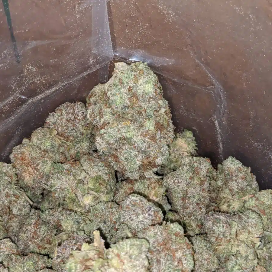 Green crack 3 I Green Crack #2