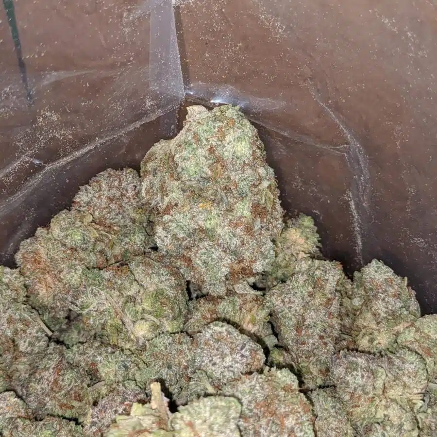 Green crack 4 I Green Crack #2