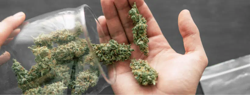 LA Confidential Strain