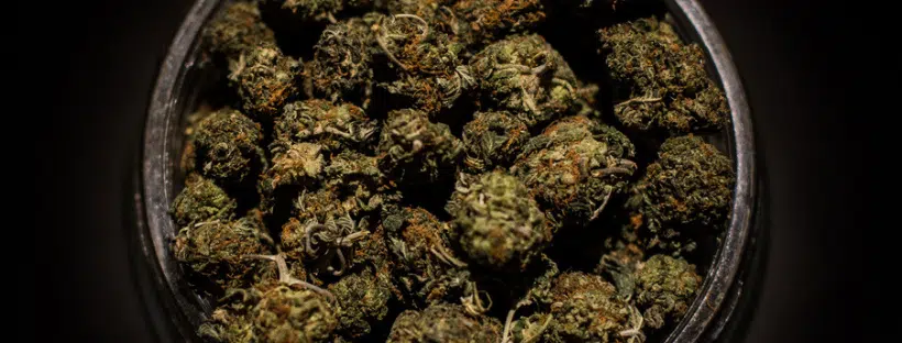 Nuken Strain