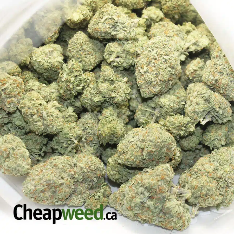 SWEET SOUR DIESEL 3 I Sweet Sour Diesel