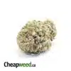 Cheap Jet Fuel OG * BOXING DAY SPECIAL*