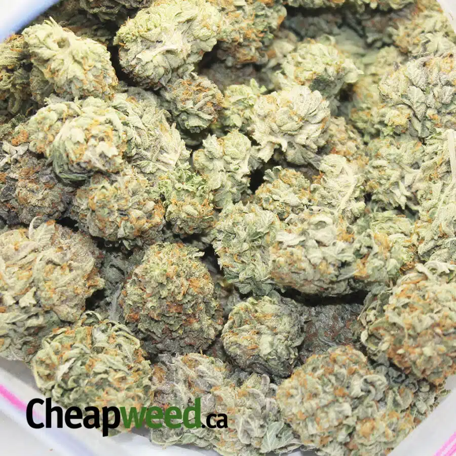 TONYS JETFUEL 3 I Cheap Jet Fuel OG * BOXING DAY SPECIAL*