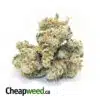 $99 Oz - Sativa