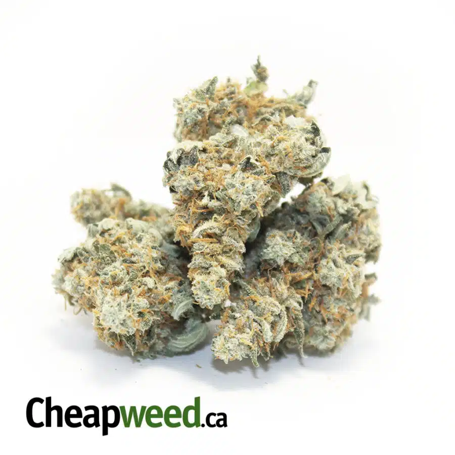 $99 Oz - Sativa