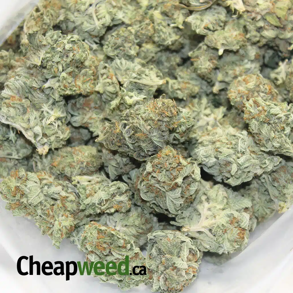 Blue Candy - Image 3