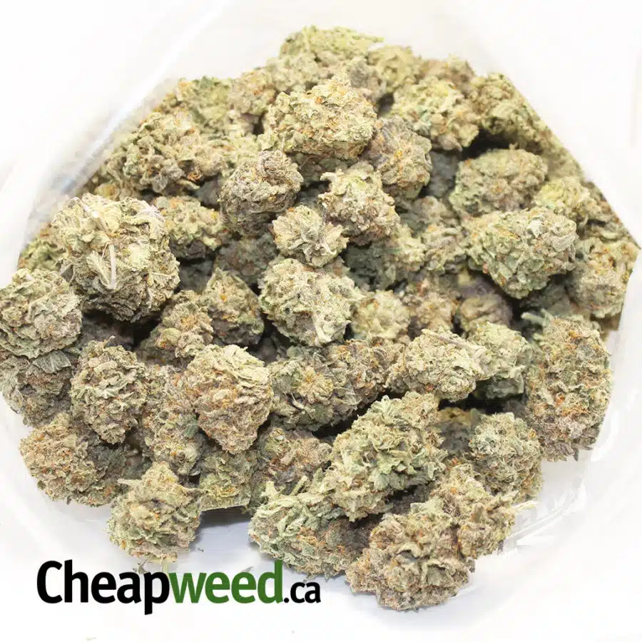 blue laguna 3 I $119 Oz - Blue Laguna
