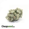 Bruce Banner X Holy Grail