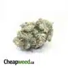 Bruce Banner X Holy Grail