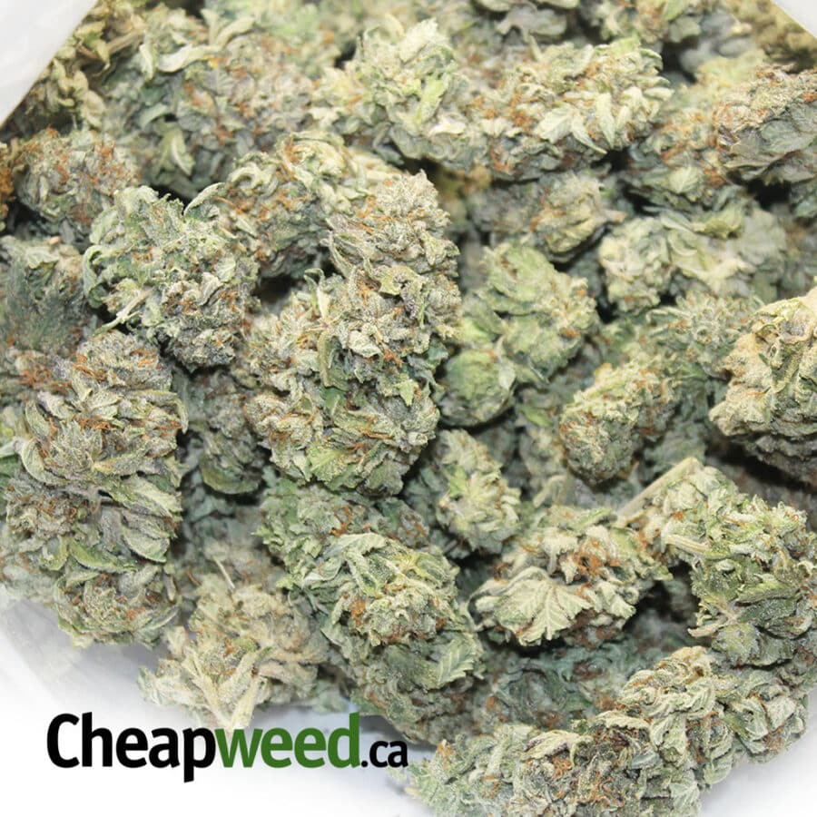 Select Kosher - Image 3
