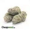 $99 - Purple Nuken