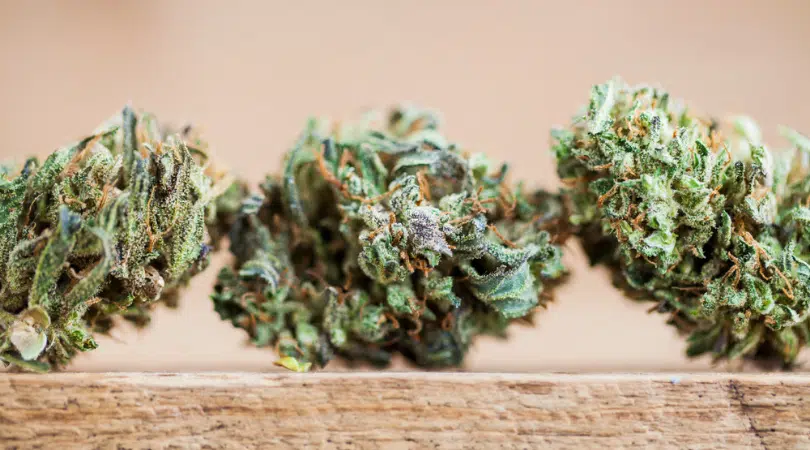 Ailments Marijuana Can Cure