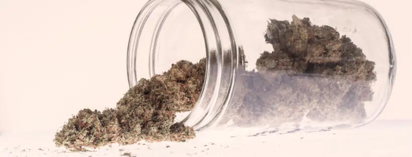 Marijuana Absorption Rate