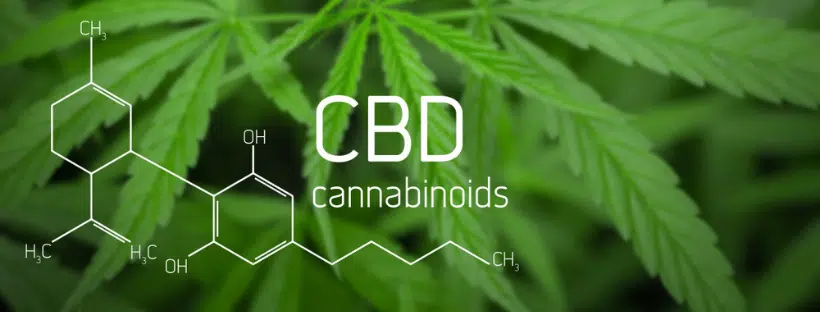 Marijuana Stops the Spreading of Cancer Cells