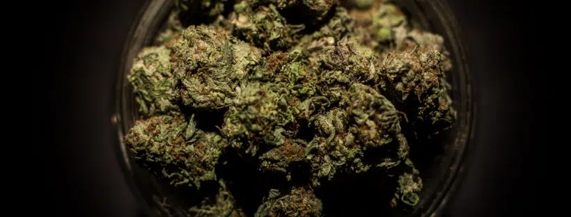 Nuken Genetics and Origins