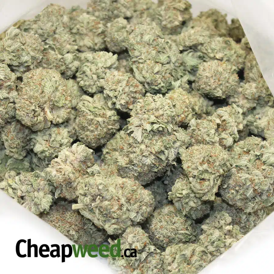 ROCK CANDY 1 I $109 - Rock Candy