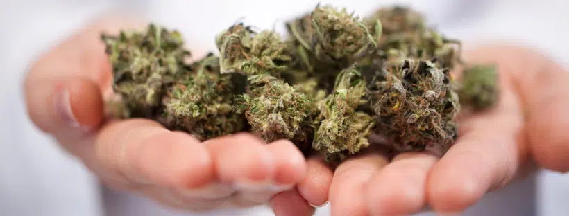 Smoking vs Eating Marijuana Dosing