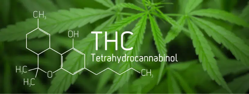 What is THC