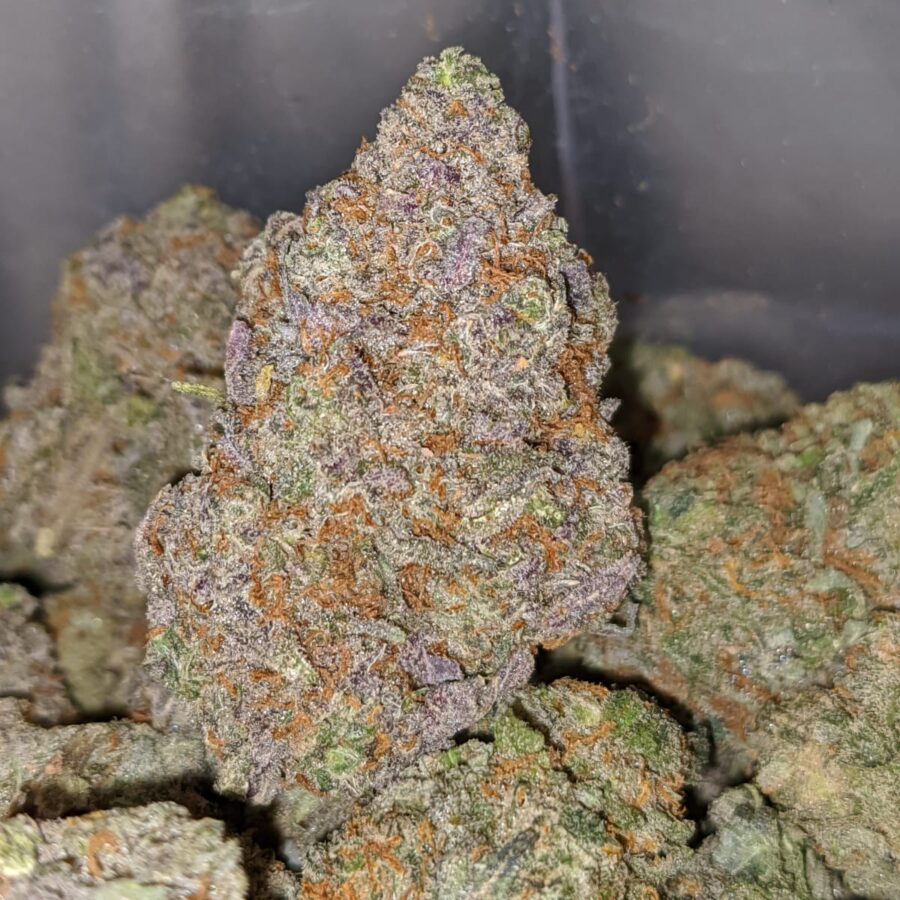 pineapple cough 1 I Pineapple Cough