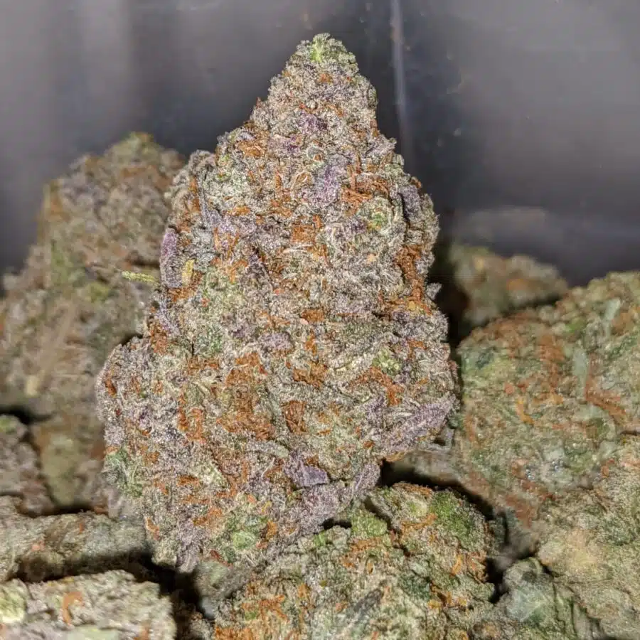 pineapple cough 1 I Pineapple Cough