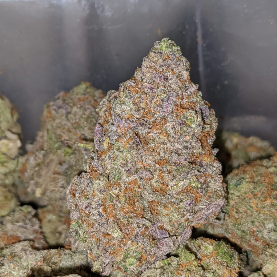 pineapple cough 2 I Pineapple Cough