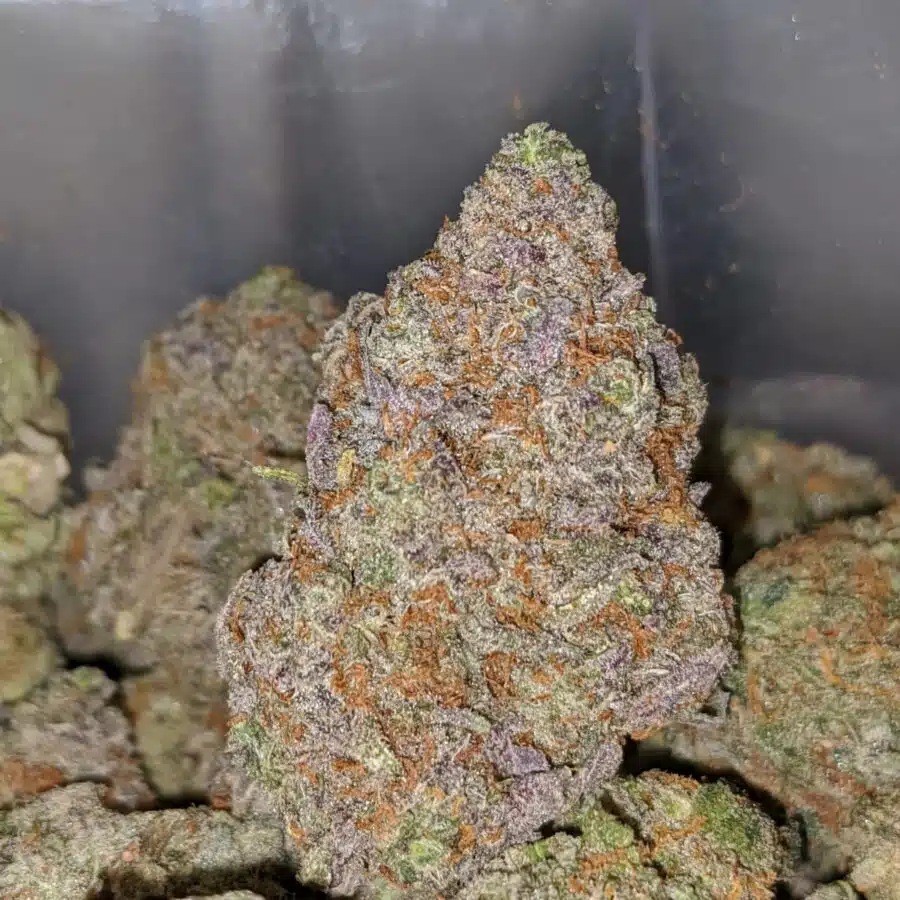 pineapple cough 2 I Pineapple Cough