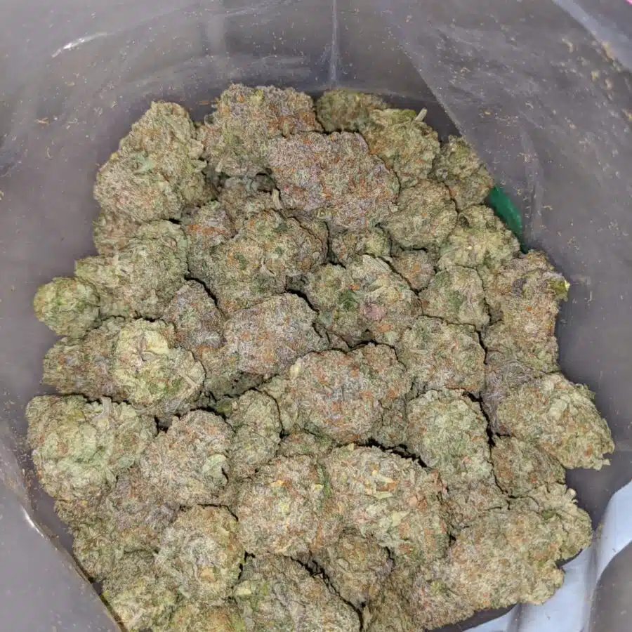 pineapple cough 3 I Pineapple Cough