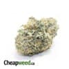 $109 Oz - Tony's Racefuel