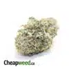 $109 Oz - Tony's Racefuel