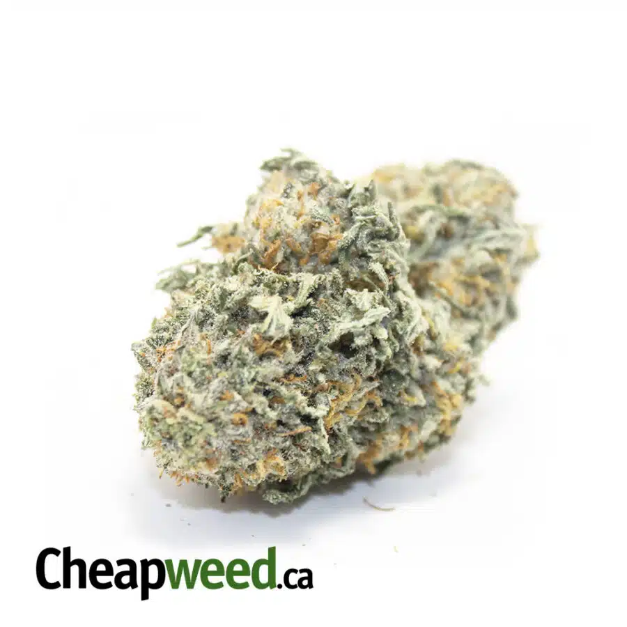 $109 Oz - Tony's Racefuel
