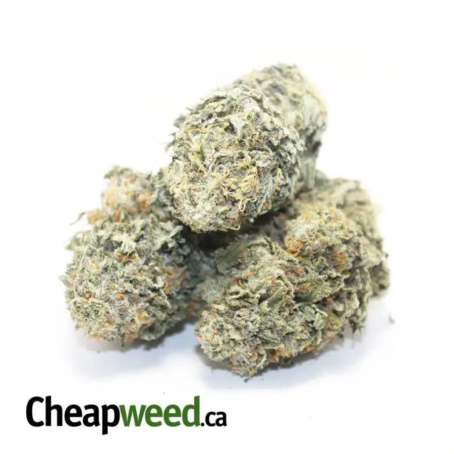 Alternative view of $109 Oz - Tony's Racefuel