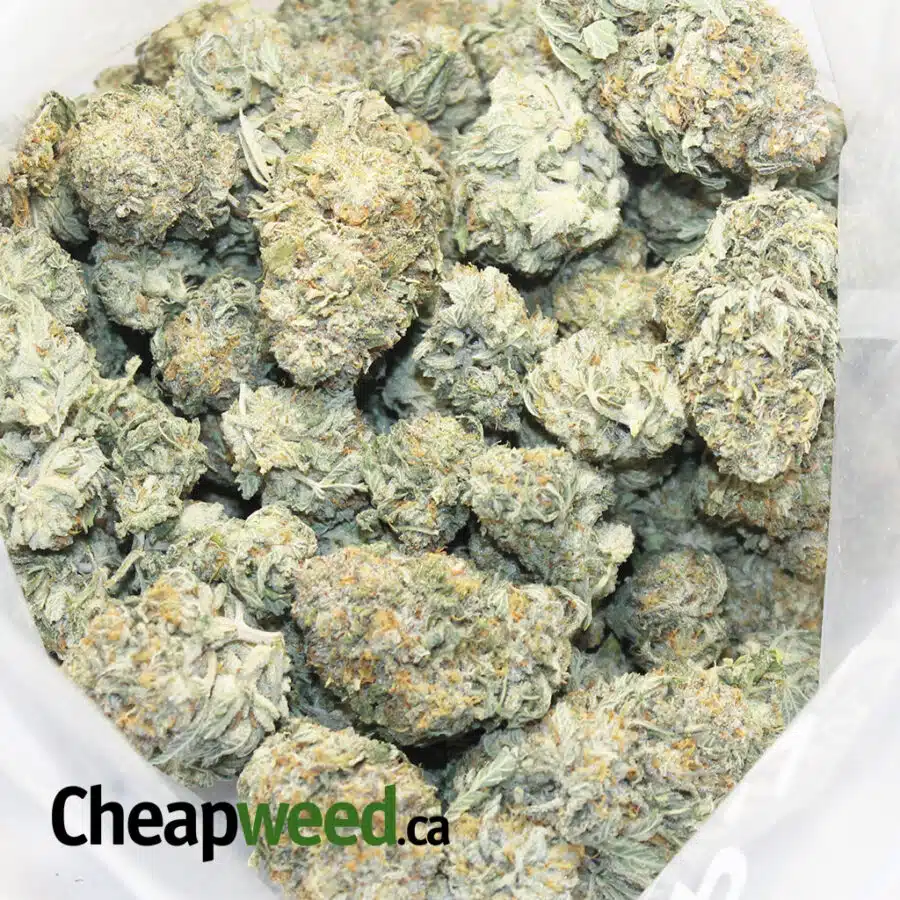 racefuel 4 I $109 Oz - Tony's Racefuel
