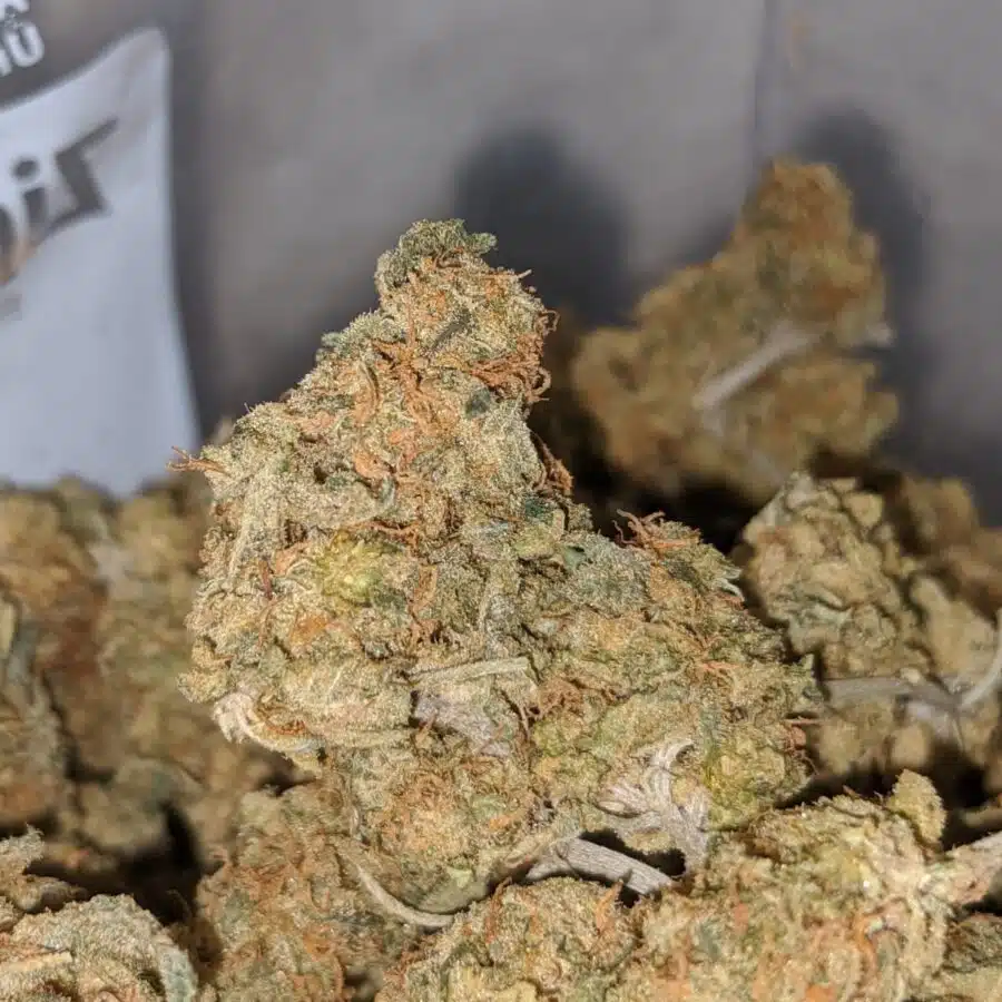 red haze aa 1 I california Haze