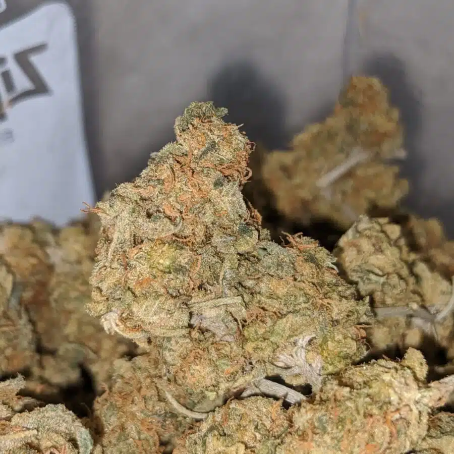 red haze aa 2 I california Haze