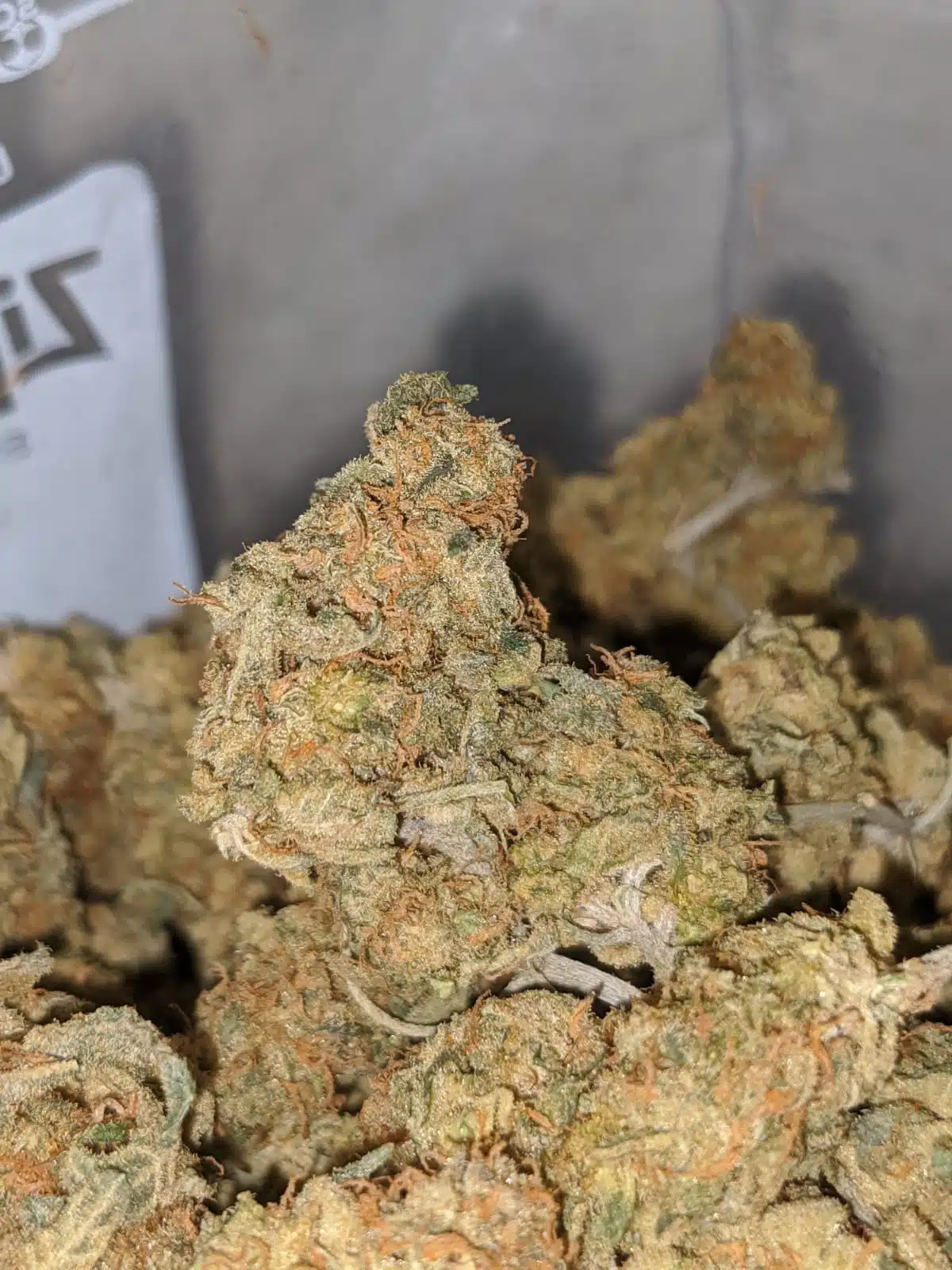 california Haze - Image 5