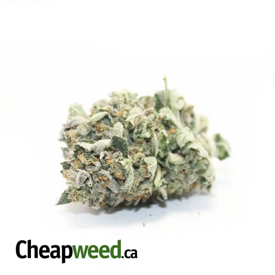 $99 Oz - Indica